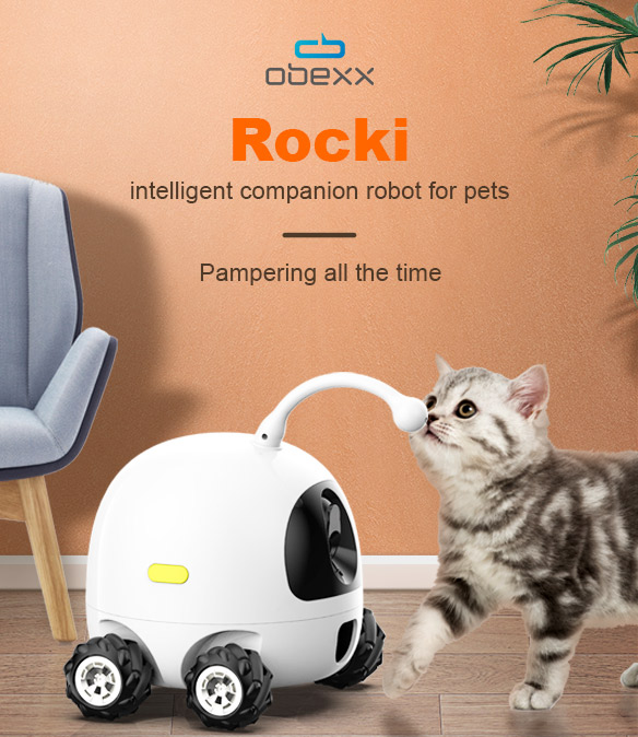 Kimdai Obexx Rocky companion robots for pets